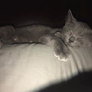 Meet your Posher, Melanie